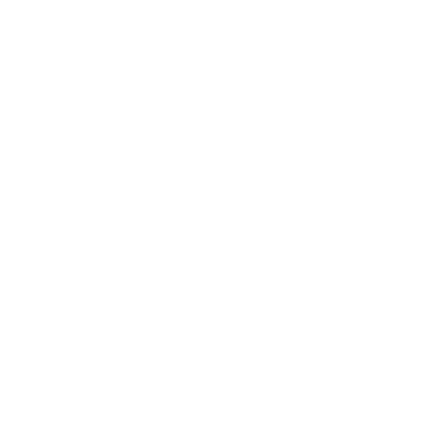 Consejo Juvenil Sionista